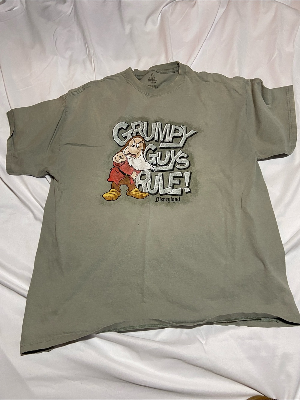 Disneyland Grumpy Guy's Rule Graphic Tee - Sage Green